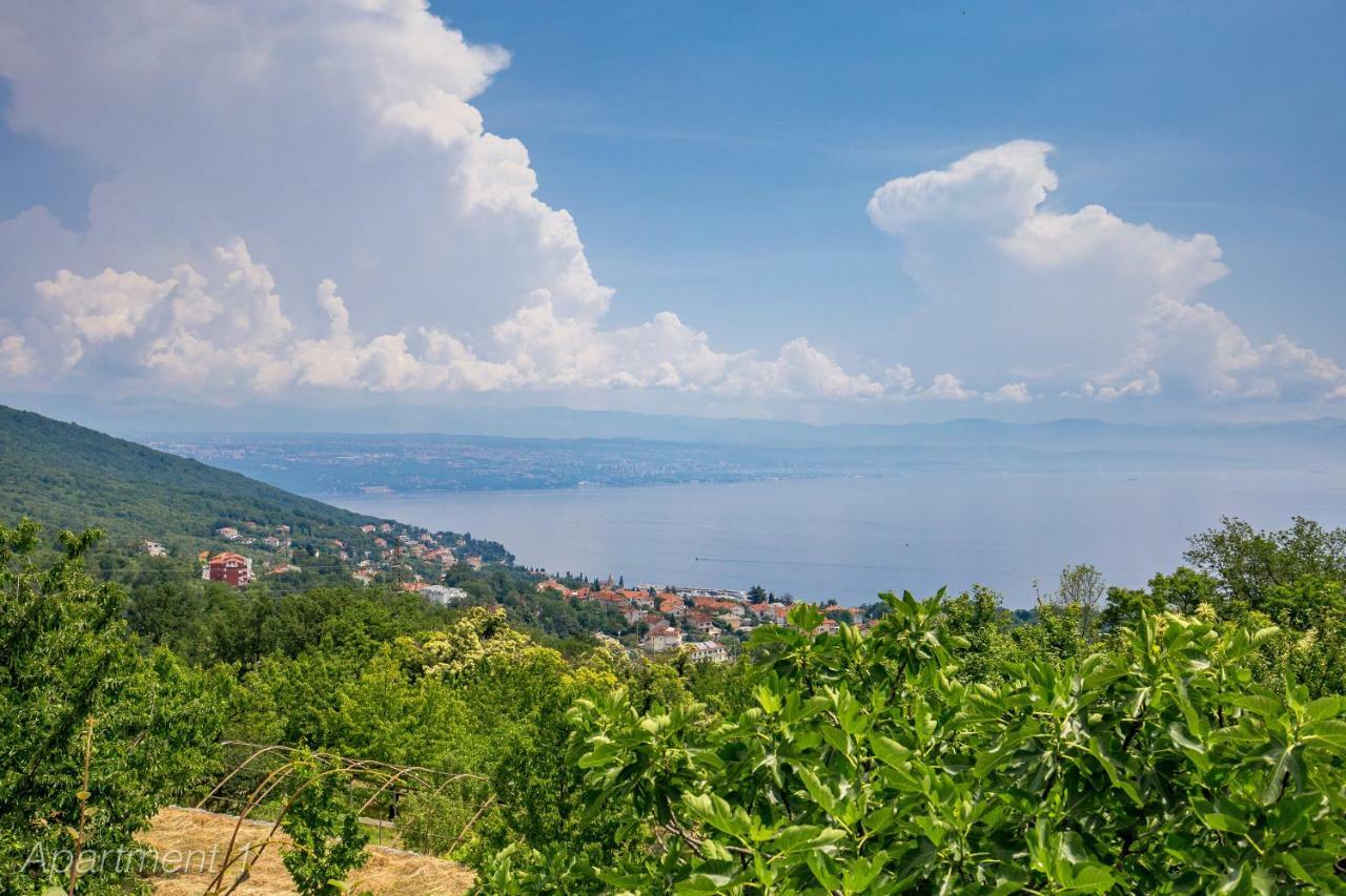Apartma Rumac